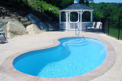 Pool - mid-sized traditional backyard concrete and kidney-shaped pool idea in Other
