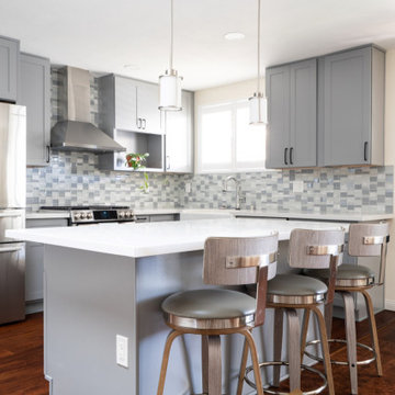 Clairmont Mesa Project - Kitchen Remodel
