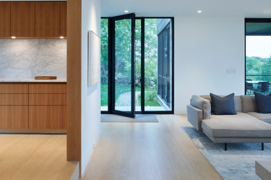 Small trendy light wood floor and beige floor entryway photo in Other with white walls and a black front door