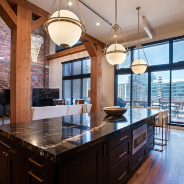 Downtown Denver Modern Loft Kitchen