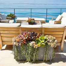 Landscaping / Garden