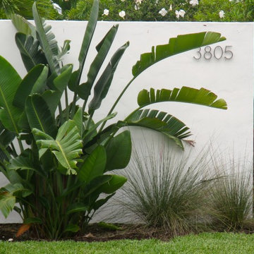 Front yard garden design