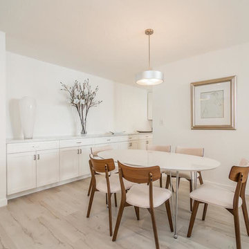 Los Angeles Condo/Remodel