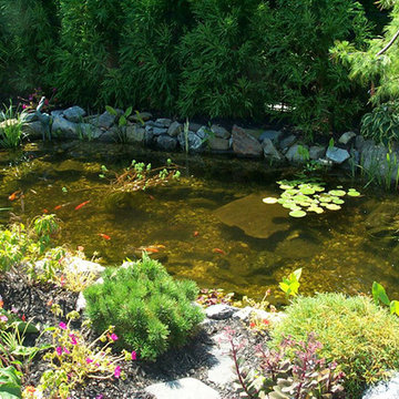 Pond Gallery