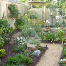 Walking And Sitting Path