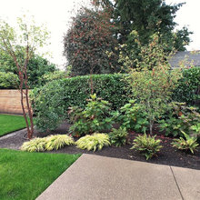 backyard seating area