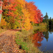 Fall