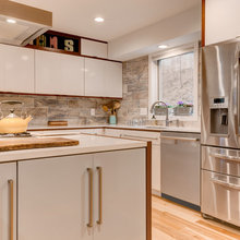 appliance pulls