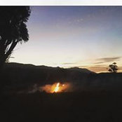 Jo Dowling's photo