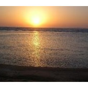 Lorella Torcoletti's photo
