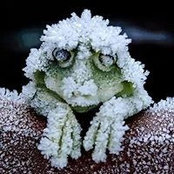 Jane Moschenrose's photo