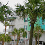 Beachside Colony's photo