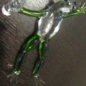 Foto de Frogster Ch