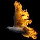 Michele Schreiber's photo