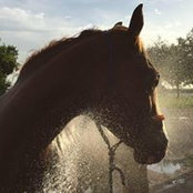 Katrina Kohleffel's photo