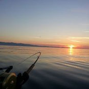 Craig Barnes's photo