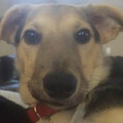 Jessica Brown's photo