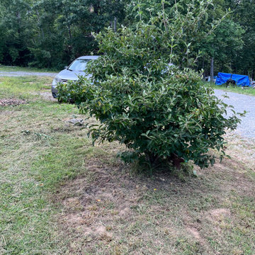 Landscaping , yard clean up trash and debris