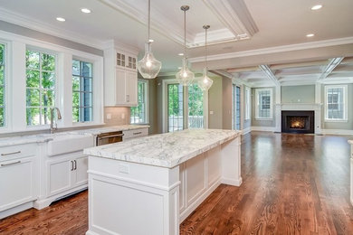 Kitchen - transitional kitchen idea in New York
