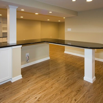 Berwyn New Basement for Young Family