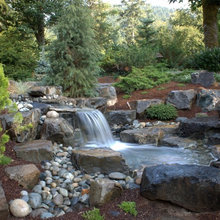 stream
