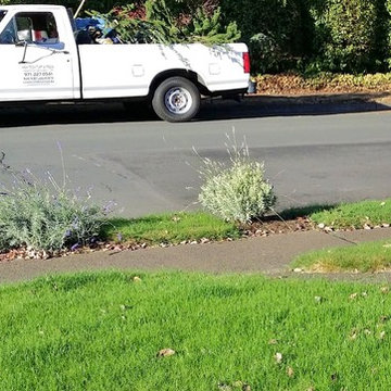 Lincoln Landscape & Lawn MakeOver 2