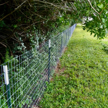 Ranch Fence