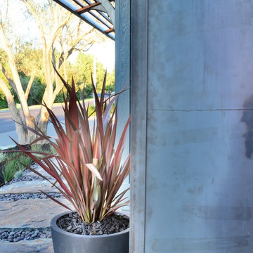 Amazing Pleasanton Front Yard envornment