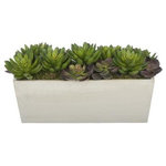 House of Silk Flowers, Inc. - Artificial Succulent Garden in White-Washed Wood Ledge - You will never have to worry about caring for your succulents again with this artificial succulent garden handcrafted by House of Silk Flowers. This arrangement features an assortment of succulents "potted" in a rustic washed wood planter (16" x 6" x 5 1/2" tall). The succulents have been arranged for 360*-viewing. The overall dimensions are measured leaf tip to leaf tip, from the bottom of the planter to the tallest leaf tip: 18" wide X 9" deep X 9" tall. Measurements are approximate, and will be determined by your final shaping of the plant upon unpacking it. No arranging is necessary, only minor shaping, with the way in which we package and ship our products. This product is only recommended for indoor use.