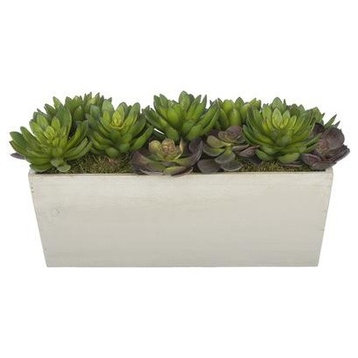 Artificial Succulent Garden in White-Washed Wood Ledge