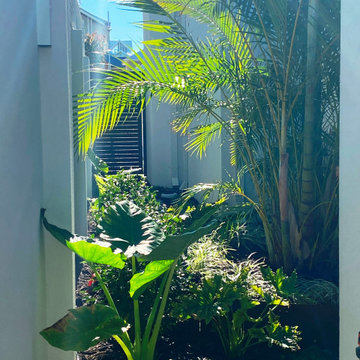 Tropical Private Courtyard