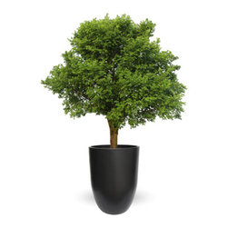 Bell Fiberglass Planter - Products