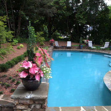 Swimming Pools & Spas