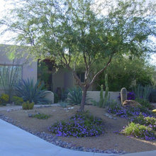 Front yard