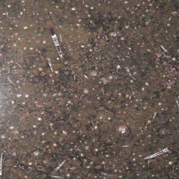 Brown Fossil Marble Slab - Kitchen Countertops