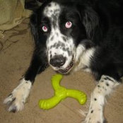 Lori McBlogger's photo