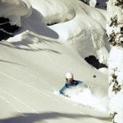 Taso Arvanitis's photo