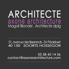 Axone Architecture
