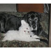 Cathy Schulte's photo