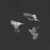 Thomas Marks's photo