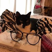 Wendy Baker's photo