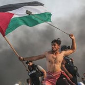 Antonio Indolfi's photo
