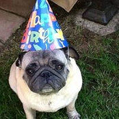 Jill Marquette's photo