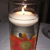 Jennifer Williams's photo