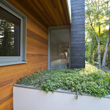 Westport Residence