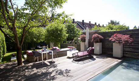 Terrassensichtschutz: 22 Ideen für mehr Privatsphäre