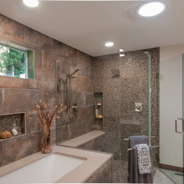 Master Suite and Hall Bathroom Update