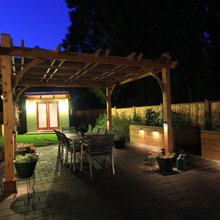 backyard garden
