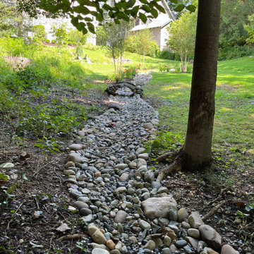 Rejuvenated Walkway and Driveway in Takoma Park Maryland