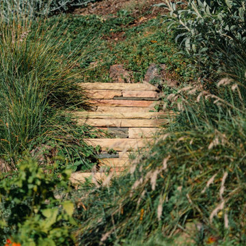 Mariposa Gardening & Design Winter